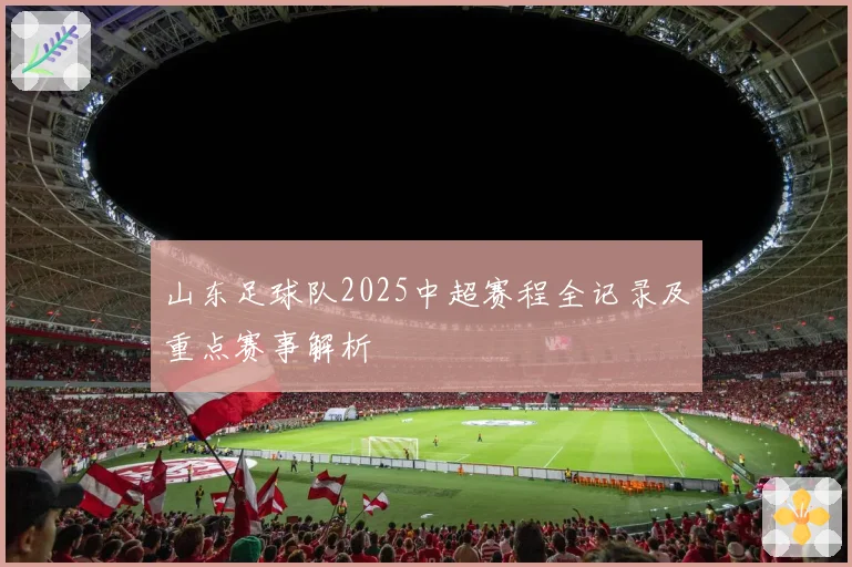 山东足球队2025中超赛程全记录及重点赛事解析