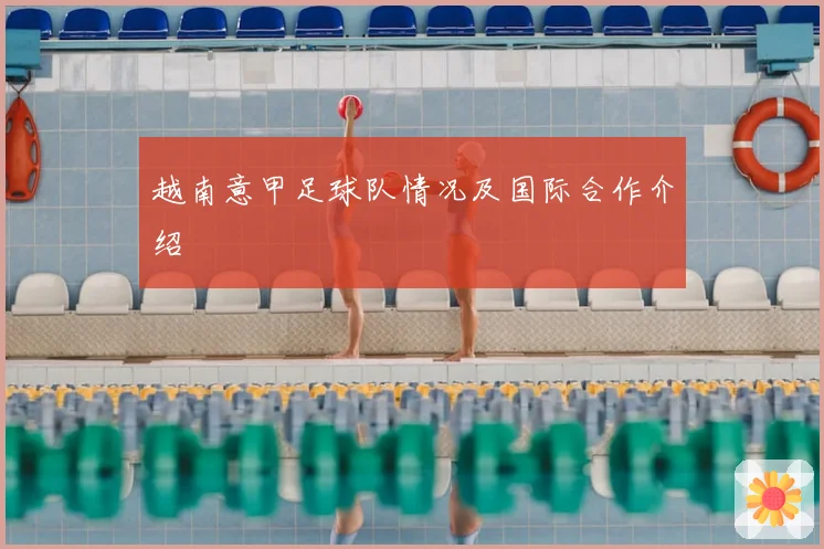 越南意甲足球队情况及国际合作介绍