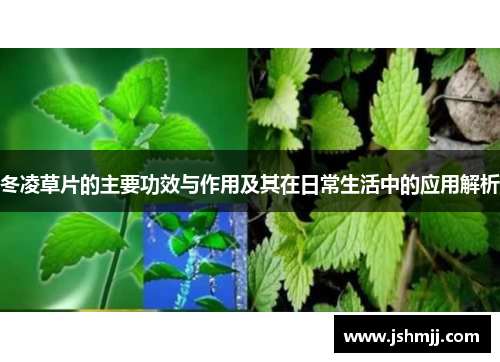 冬凌草片的主要功效与作用及其在日常生活中的应用解析