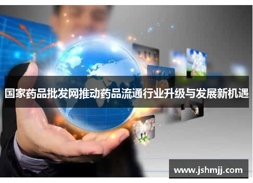 国家药品批发网推动药品流通行业升级与发展新机遇